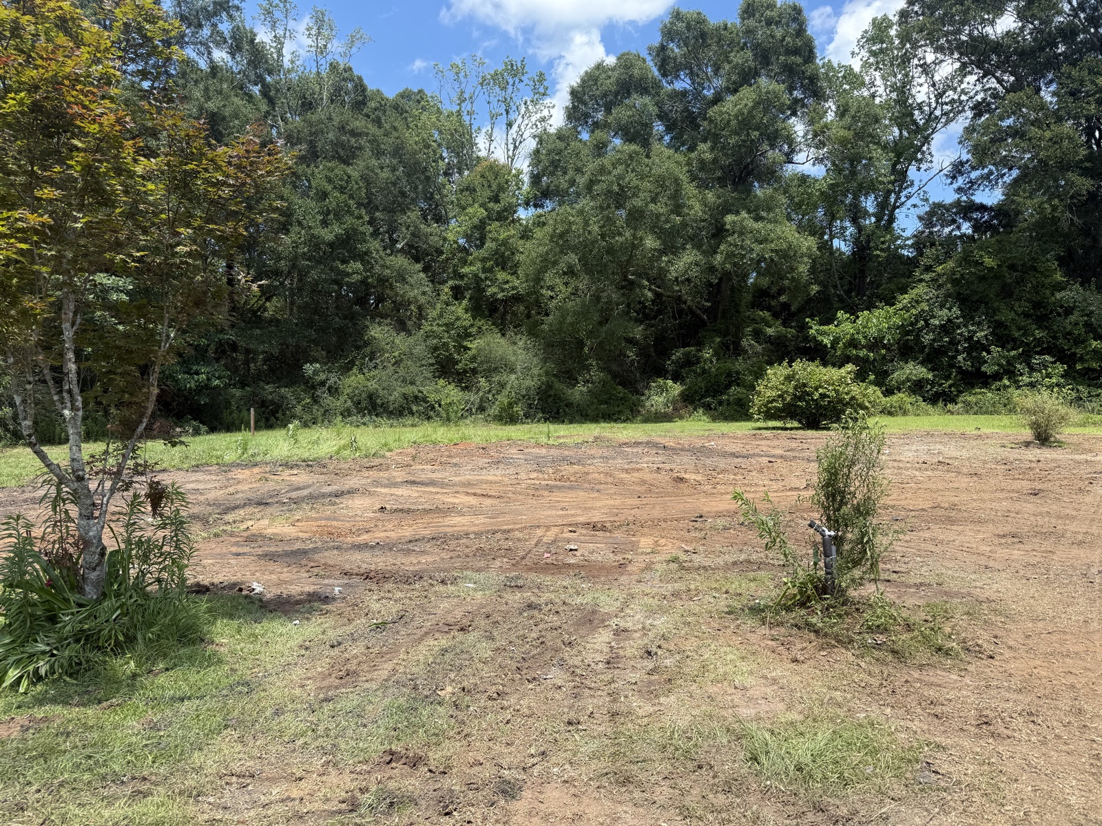 Freshly cleared and graded lot lined with trees