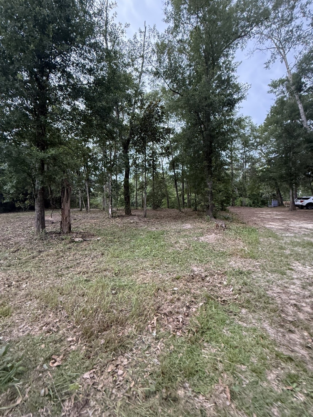 Residential Land Clearing — photo 3