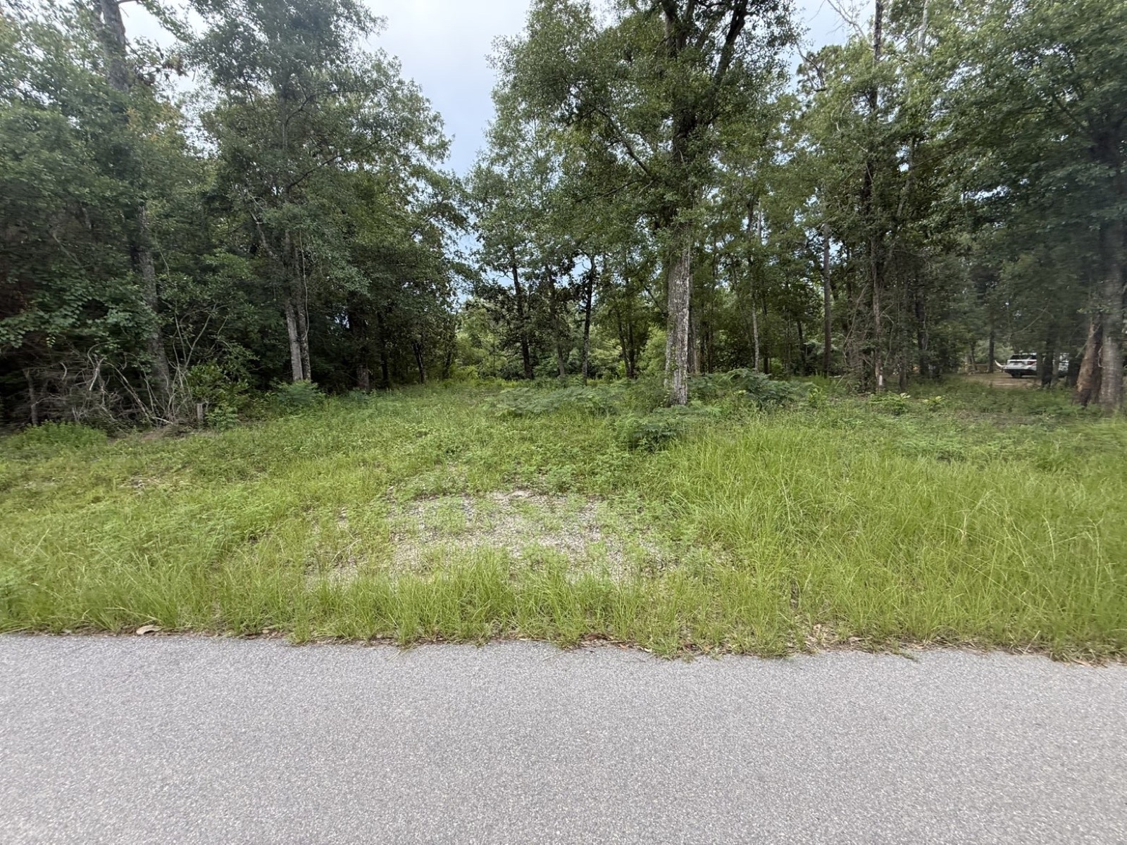 Residential Land Clearing — photo 1