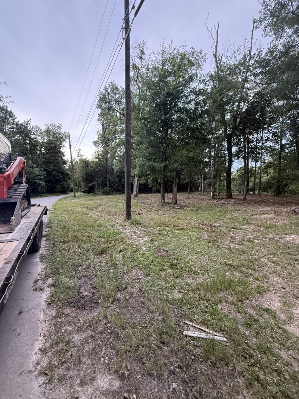 Residential Land Clearing — photo 2