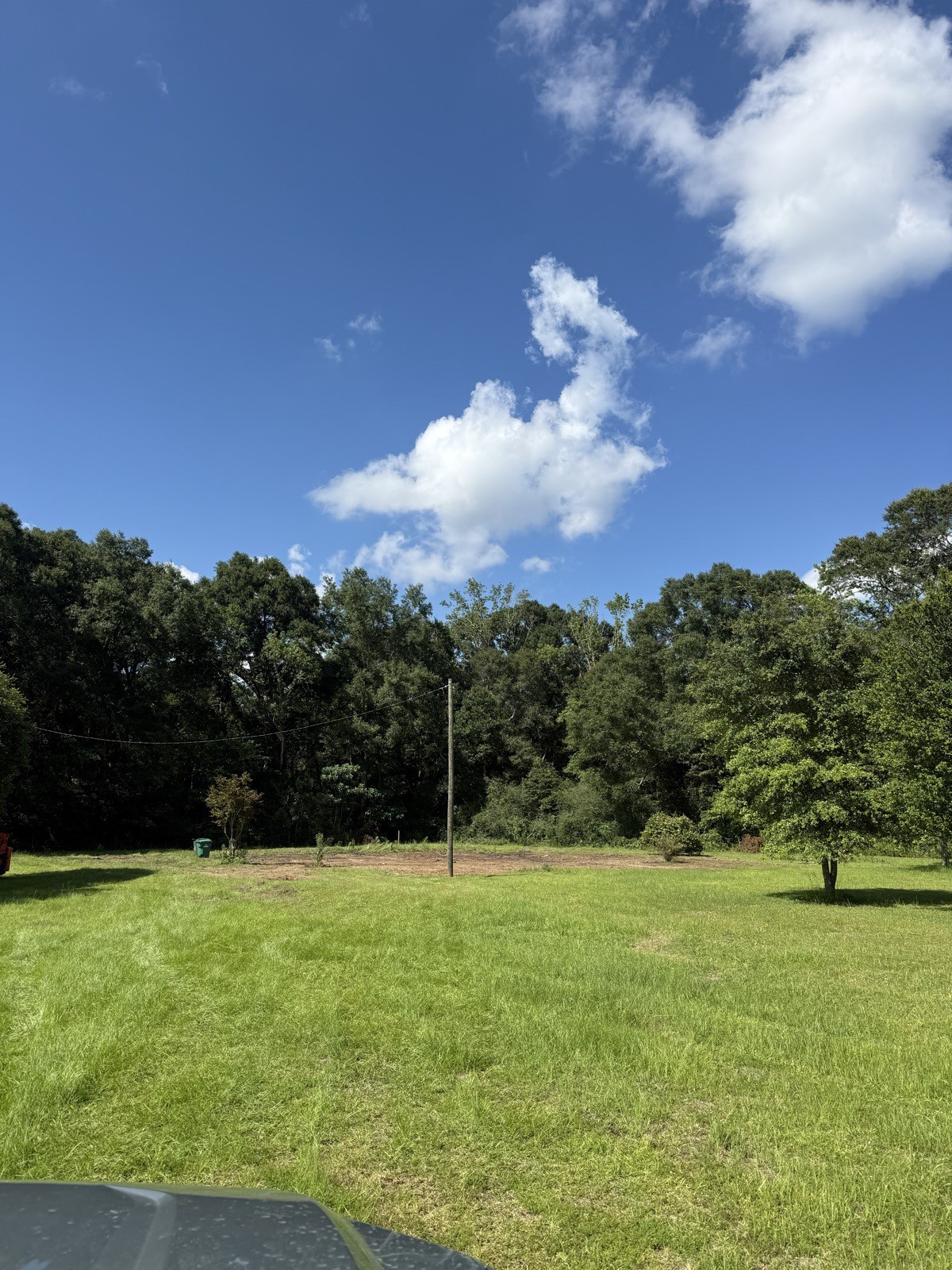 Freshly mowed property