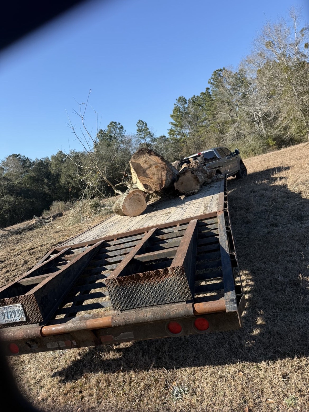Hardwood logs loaded onto a trailer for haul-off